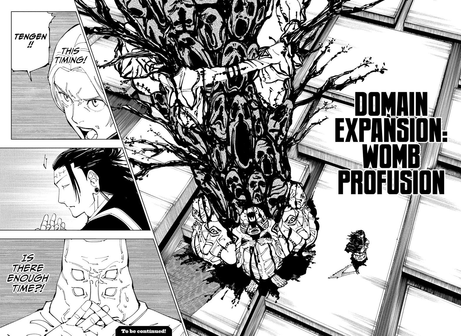 JuJutsu Kaisen Manga Chapter 205